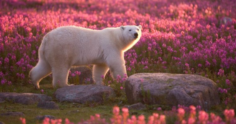 دراو استانی منیتوبا در ۷ آگوست ۲۰۲۵